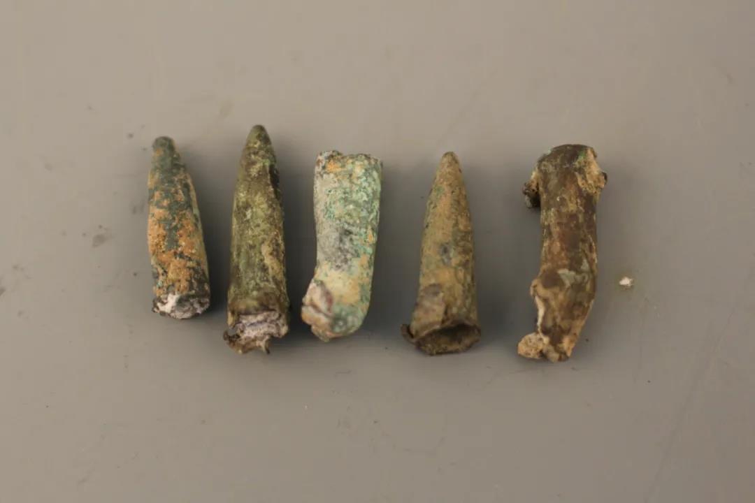 中国·必赢776net(股份)有限公司-官方网站