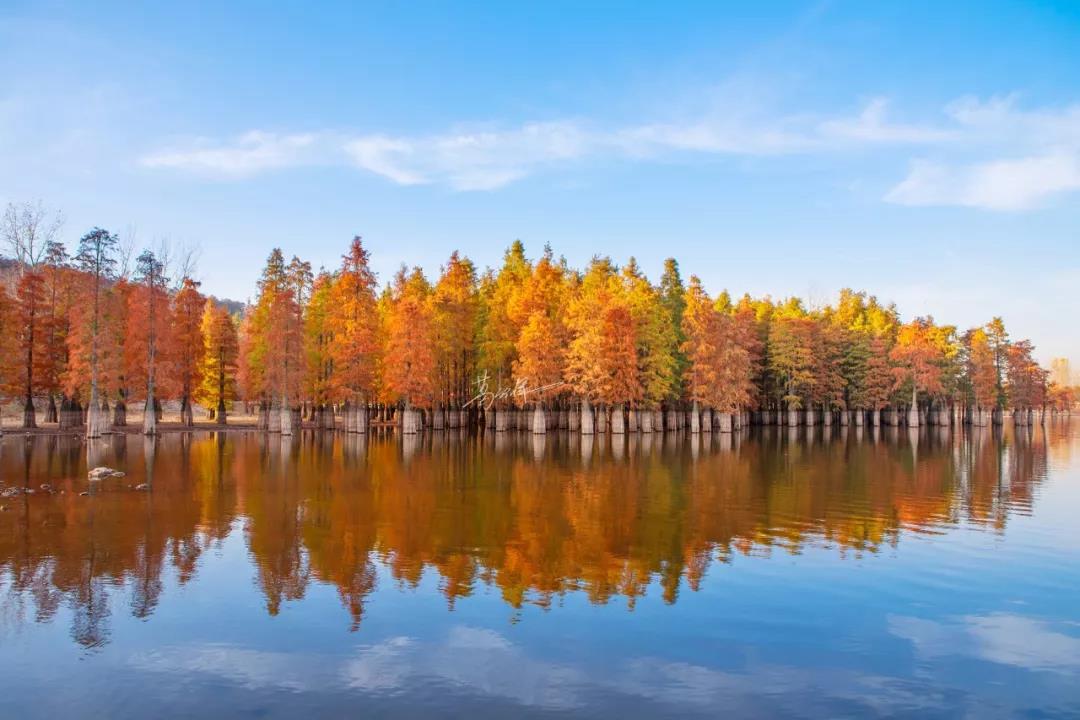 中国·必赢776net(股份)有限公司-官方网站