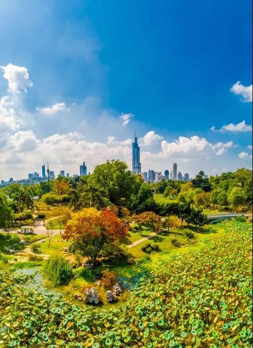 中国·必赢776net(股份)有限公司-官方网站