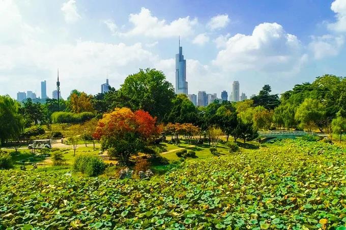 中国·必赢776net(股份)有限公司-官方网站