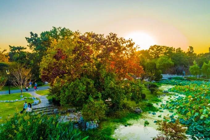 中国·必赢776net(股份)有限公司-官方网站