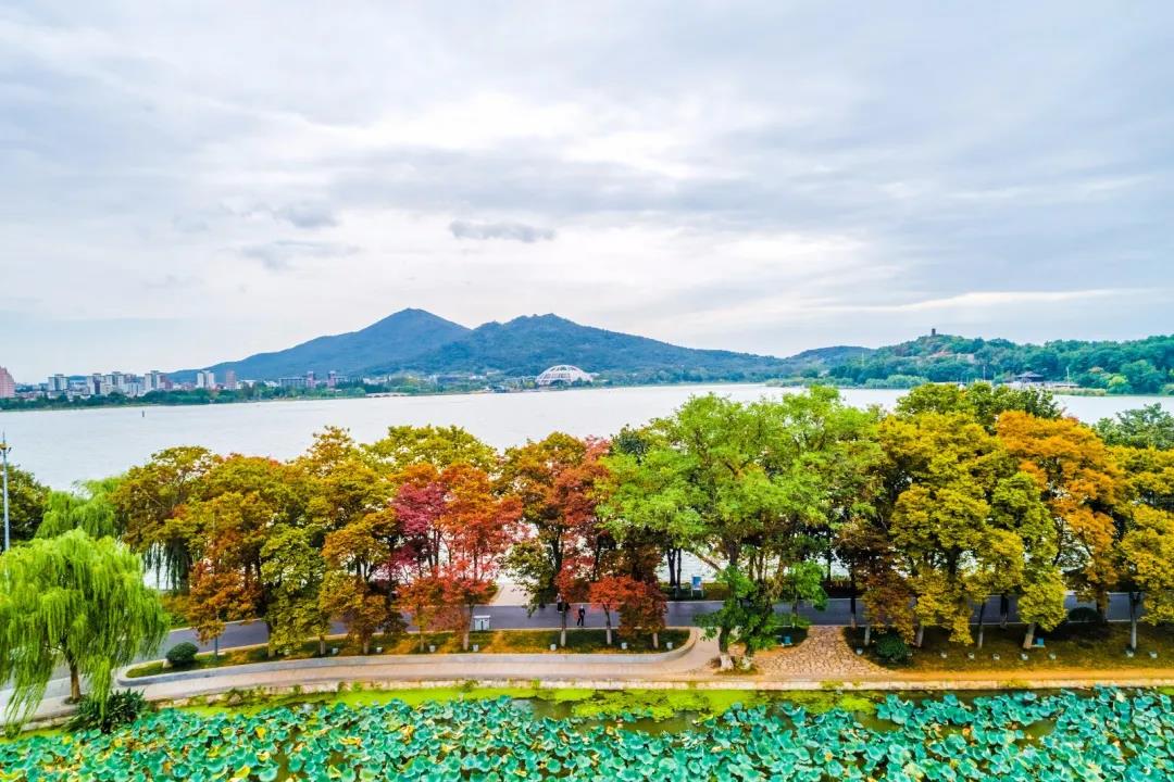 中国·必赢776net(股份)有限公司-官方网站