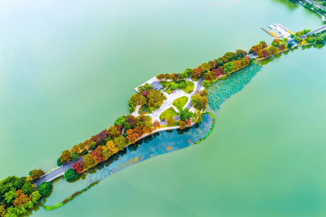 中国·必赢776net(股份)有限公司-官方网站