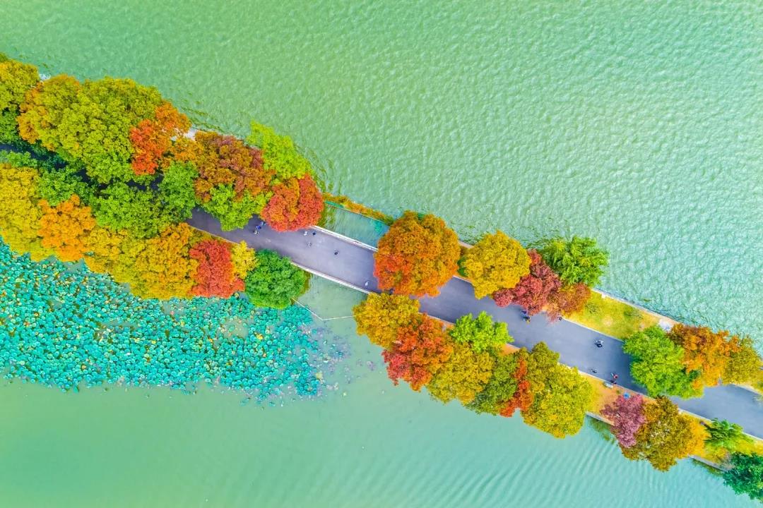 中国·必赢776net(股份)有限公司-官方网站