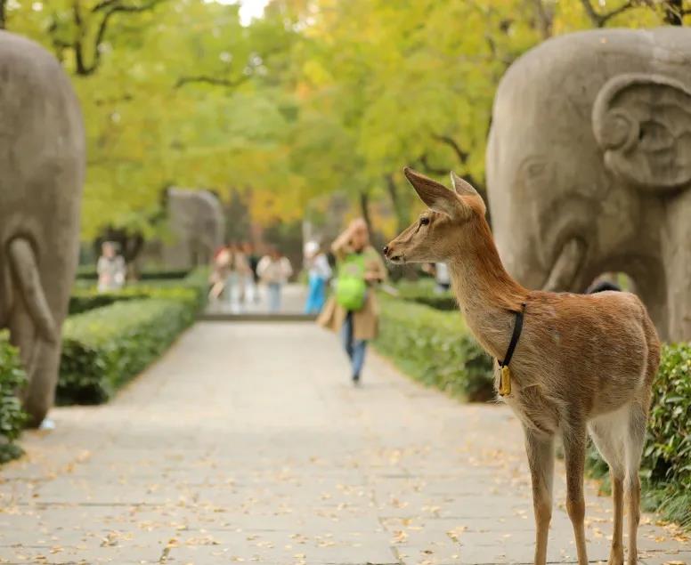 中国·必赢776net(股份)有限公司-官方网站