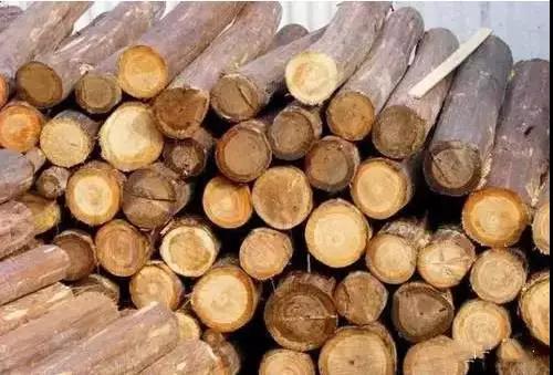 中国·必赢776net(股份)有限公司-官方网站