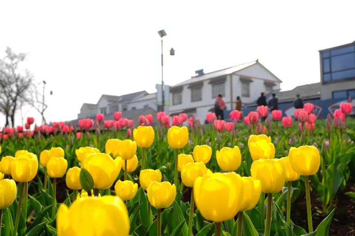 中国·必赢776net(股份)有限公司-官方网站