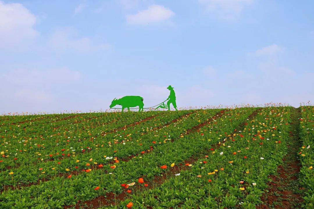 中国·必赢776net(股份)有限公司-官方网站