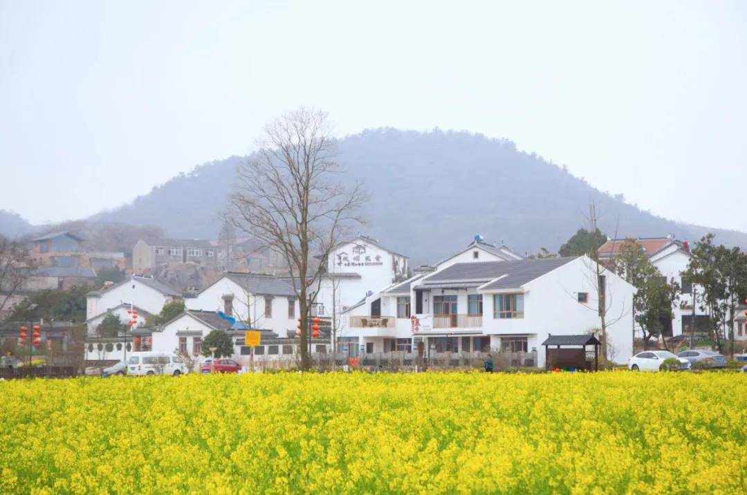 中国·必赢776net(股份)有限公司-官方网站