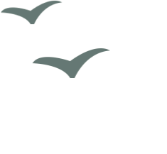 中国·必赢776net(股份)有限公司-官方网站