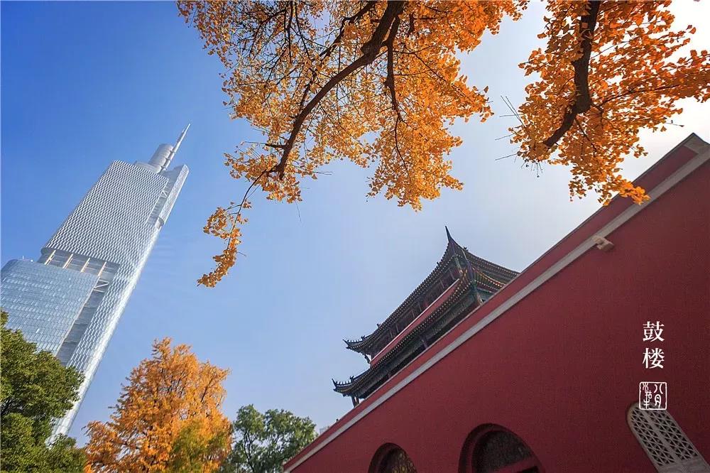 中国·必赢776net(股份)有限公司-官方网站