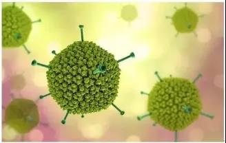 中国·必赢776net(股份)有限公司-官方网站