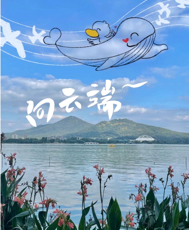 中国·必赢776net(股份)有限公司-官方网站