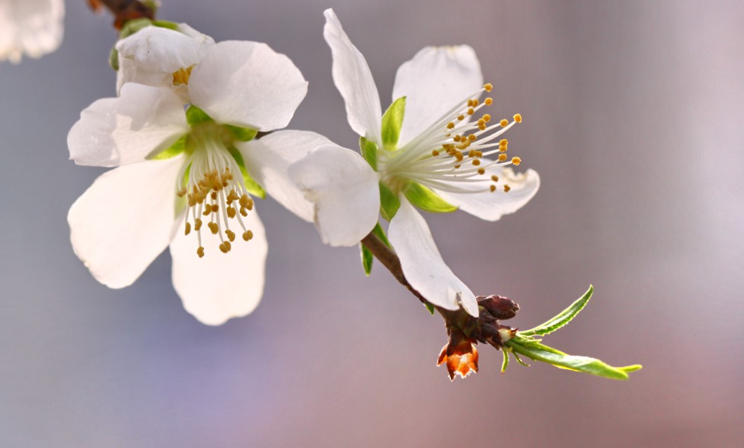 中国·必赢776net(股份)有限公司-官方网站